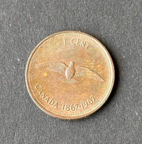 Kanada canada cent münze - kanada,